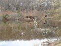 2016-04-07 14-31-46 Rando Poigny la Foret DLe